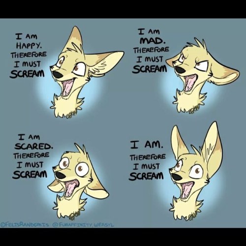 Thanks @moderndayjaneofthejungle for sending me this, it fits Todd so well #artistunknown #fennecfox