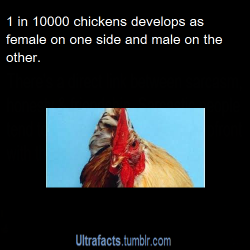 ultrafacts:  Source For more facts, Follow