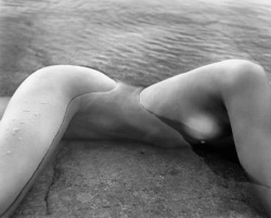 not-s-o-random:  Patrick Demarchelier. Nude,