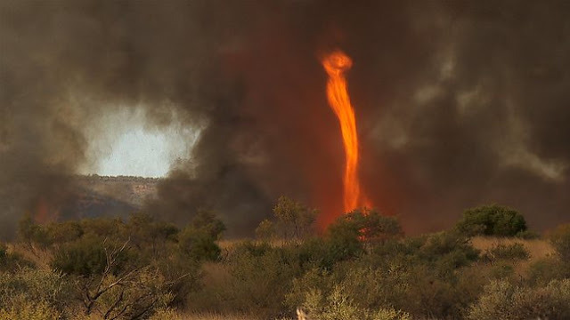 Fire Tornado by Chris Tangey
10 Crazy Weather Phenomena on Earth: VIDEO and Photos Gallery