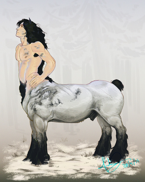 marichuloca: A Brabant Centaur ~ I didn’t even know this breed existed  °-°  It is like THE draft ho