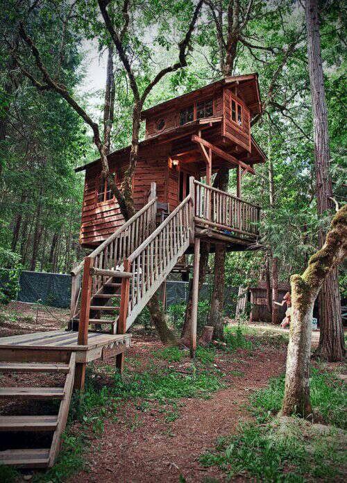 XXX dailycoolhouses:  126 Amazing Tree Houses photo