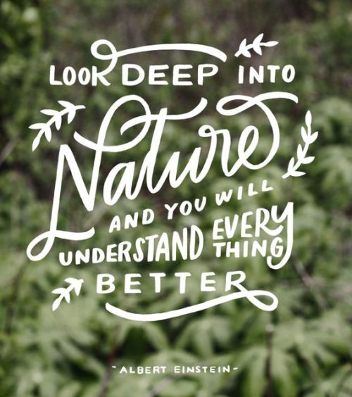 Happy World Environment Day! This year&rsquo;s theme is all about reconnecting with nature. Take
