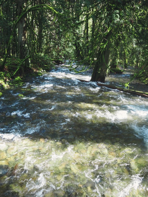 litheriel:  Goldstream Pt 2