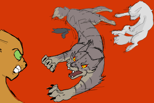 Some out of context panels I drew in January of my Warrior Cats (fanfic? i guess) for my own persona