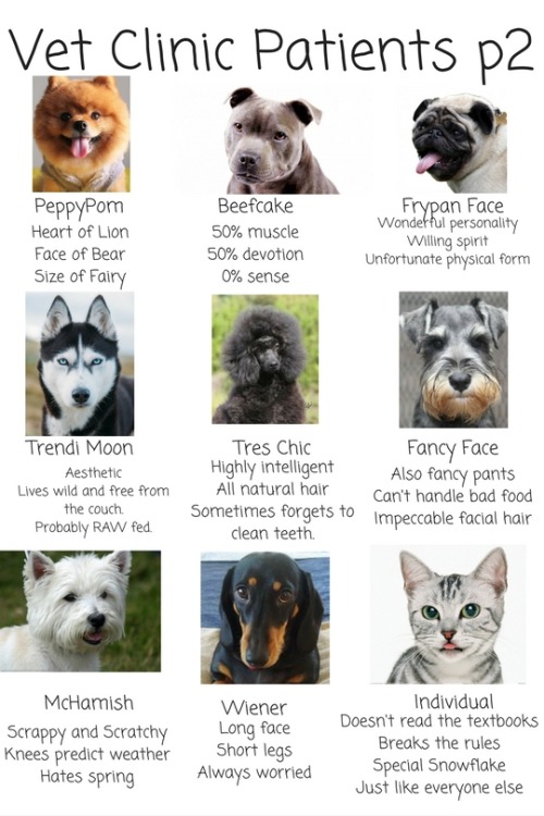 drferox: Tag yourself