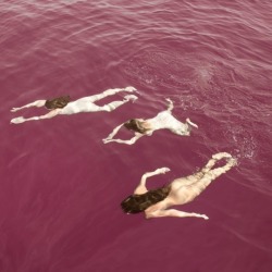 chasingsnowflakes:Prue Stent