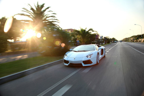 asthetiques:  Lamborghini Celebrates its 50th Anniversary with the Grande Girdo d’Italia.