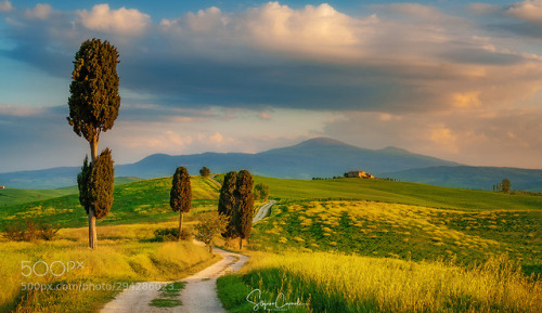 Tuscany by stefanocaporali