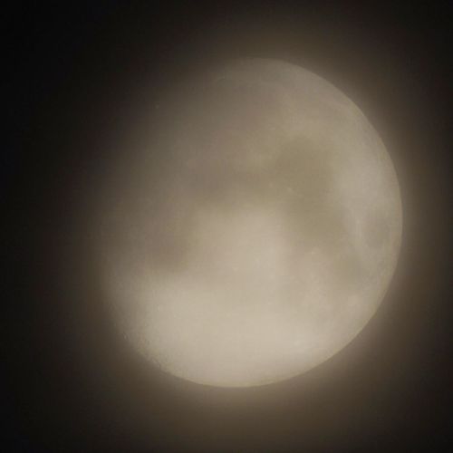 月齢11.4 結構粘ってみたんですけど これが1番マシ この調子だと日曜日の満月も 天気が悪くて見えない予感 では おやすみなさい #月 #moon #おぼろ月夜 #朧月 #薄曇りの空 #天体望遠鏡 