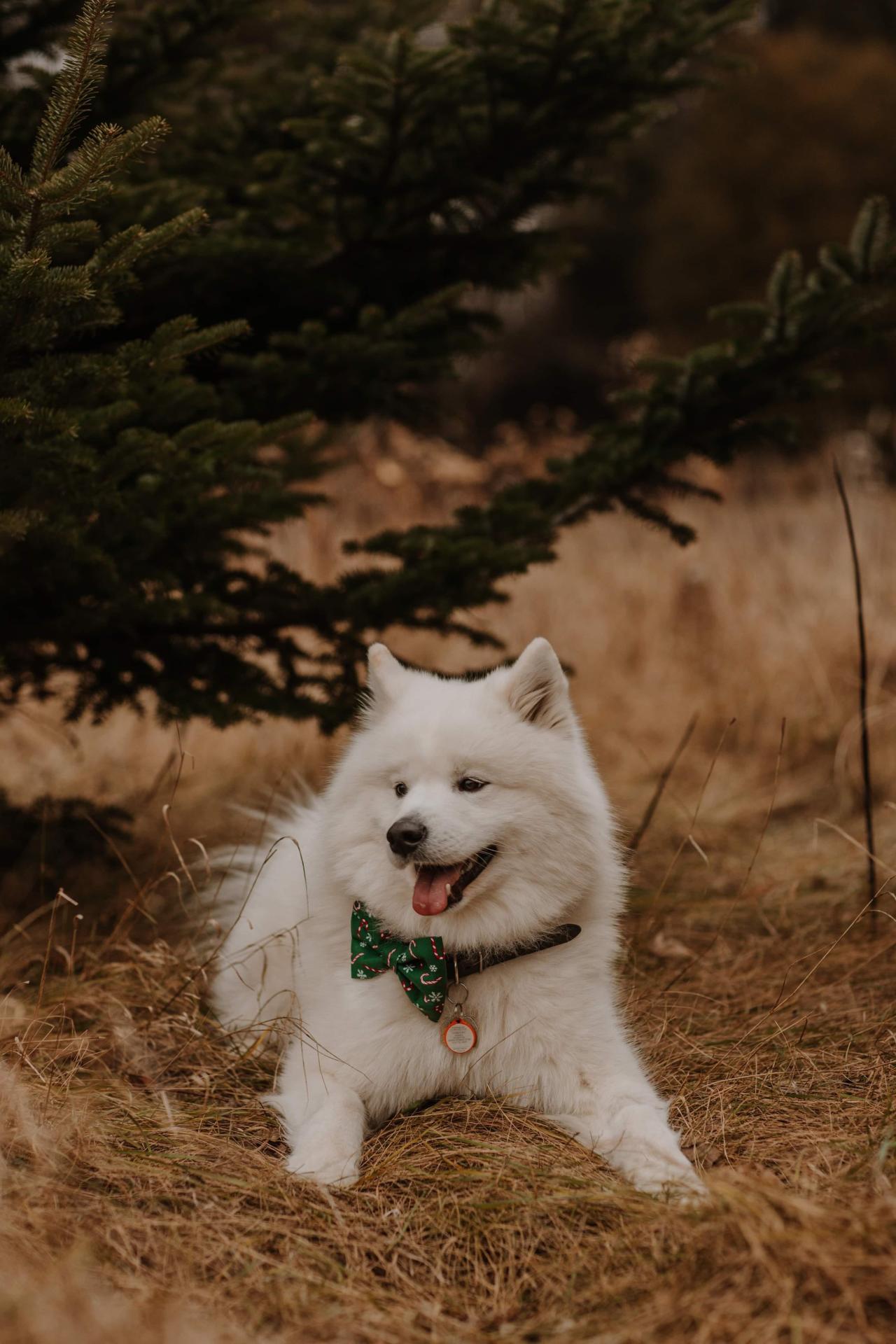 Our handsome polar bear 🥰🐻‍❄️