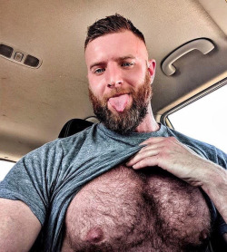 hirsute-honeys:hairymenforu:Those need some chewing. I’ll volunteer sir