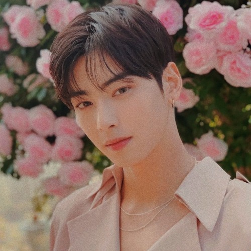 Cha Eun Woo Icons !