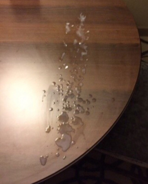 An amazing load of cum from a breeder…even with it just on the table top you can feel the strength and sexual power in it….