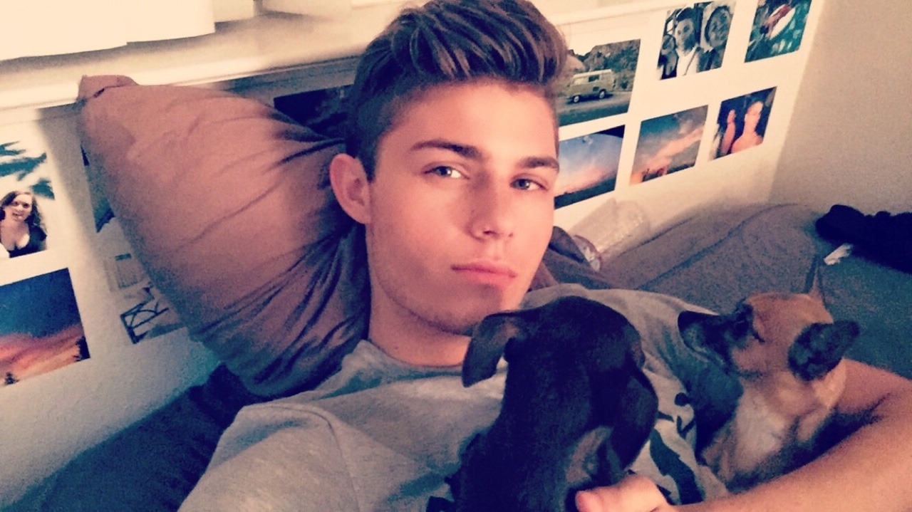 mattandjones:  I love these dogs so much😭❤️