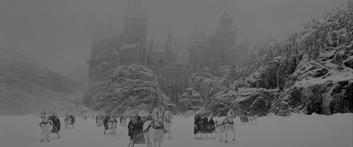 emmaswatsons:  Christmas was coming. One morning in mid-December, Hogwarts woke to find itself cover