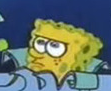 tsuthetiger:  wulphire:  tsuthetiger:  wulphire:  I hate how people are “getting used to it” We are not supposed to!! Usually if something happens like this we get asked like HUMAN BEINGS!!! this is not Youtube where people can change it at will 