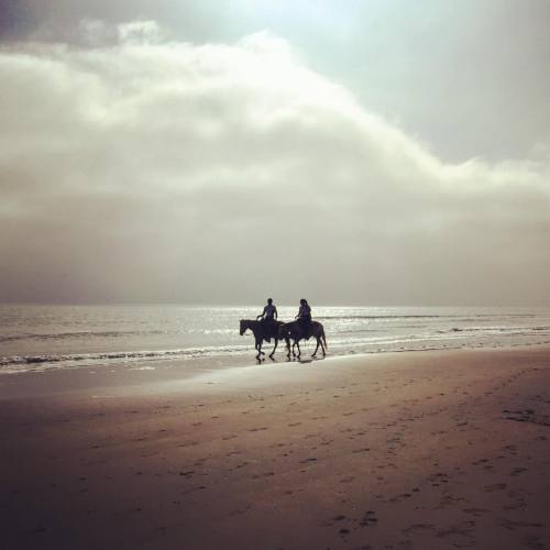 #day on the #beach #seascape #sea #bythesea #horses #sunset #sky #picoftheday #light #picoftheweek w