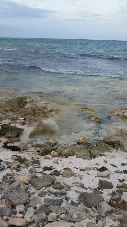 kosmonautes:  the beach was full of rocks