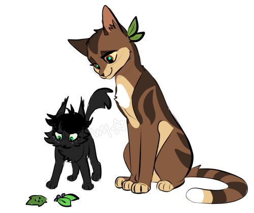 moronicawheat: kittiesthese designs are mine! love how Leafpool looks here