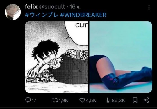 Tumblr media