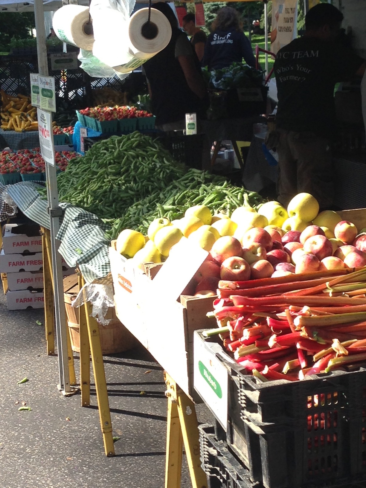 Today’s the kick-off for this year’s weekly Greenmarket at the NYBG, so I figured I’d chime in to let New York-area folks know what’s showing up on the tables this late in spring. Chances are you’ll be seeing similar offerings in other markets around...