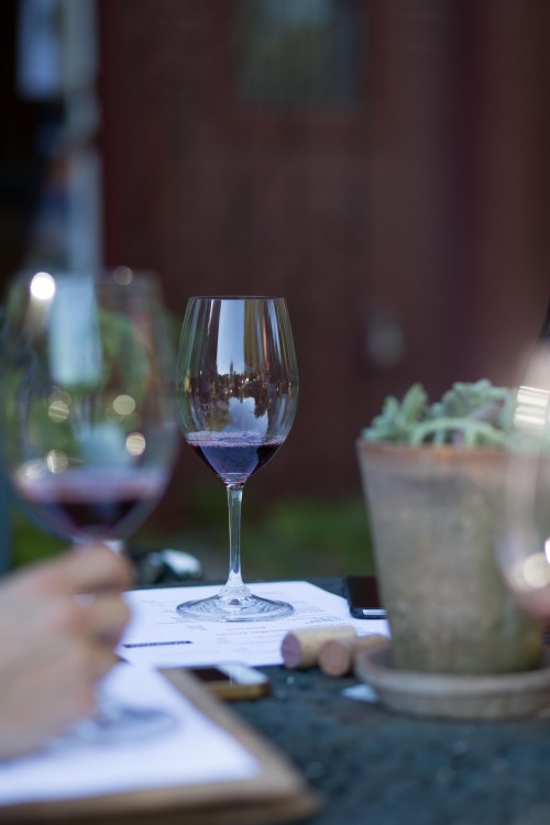 wine tasting with Meditrina.Chester, Vermont 2015