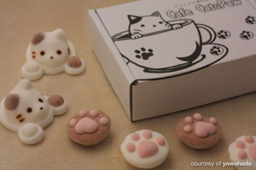 meowoofau:  cat marshmallows What’s fluffy, sweet and too adorable to eat? Cat marshmallows! Now you can have cat inspired beverages in the comfort of your own home thanks to Yawahada, a Japanese specialist marshmallow shop. The paw print marshmallows