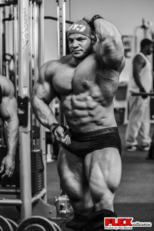 roidsville-zoo:  Mamdouh Big Ramy Elssbiay 
