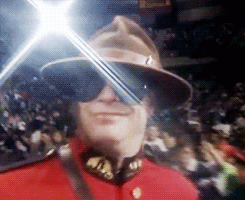 tumblr_n7lu7oGpYf1qzkr3vo3_250.gif
