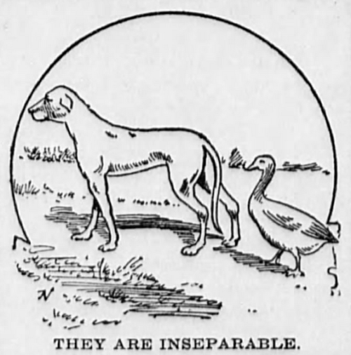 yesterdaysprint - Perrysburg Journal, Ohio, March 9, 1900