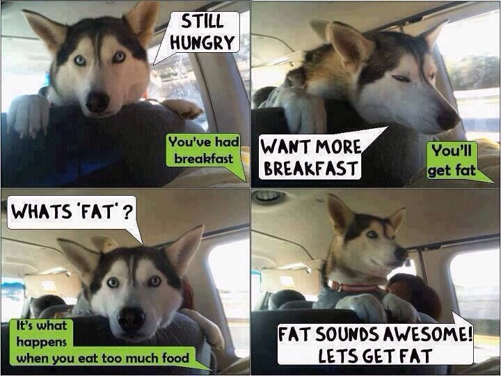 fierceisnotenough:  meme4u:  http://memeblock.com/  Oh my god too cute 