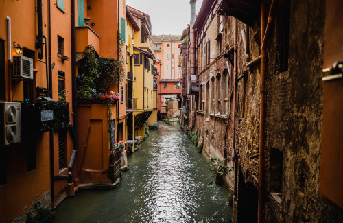 mostlyitaly:Wandering around Bologna (Emilia-Romagna) by max zulauf