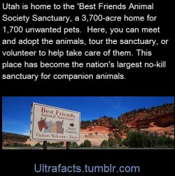 ultrafacts:  nitroflame95:   ultrafacts:   (Fact Source) Follow Ultrafacts for more facts   This just made my previously empty list of places to go someday. So much cute.   