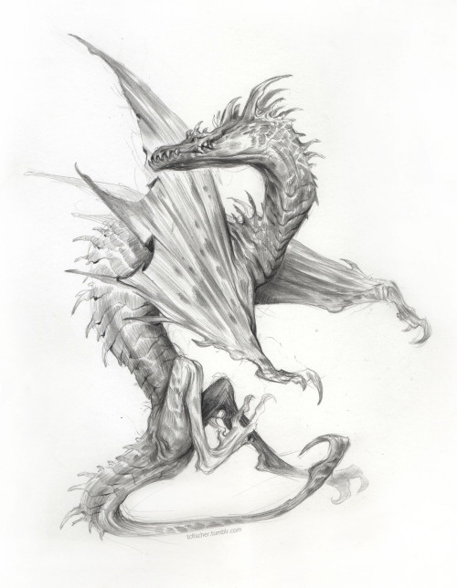 artintheart:Been also drawing some dragons… Deciding if I like pencil or charcoal better…    decis