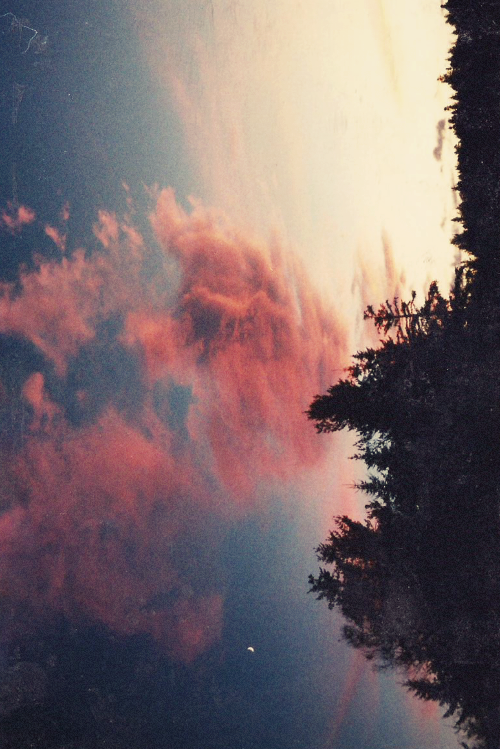 brutalgeneration:  Tumblr on We Heart It - http://weheartit.com/entry/60498209/ 