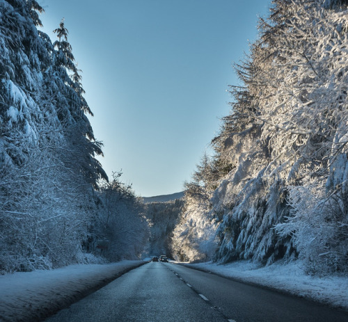 A470 road  |  by Paul Branchflower