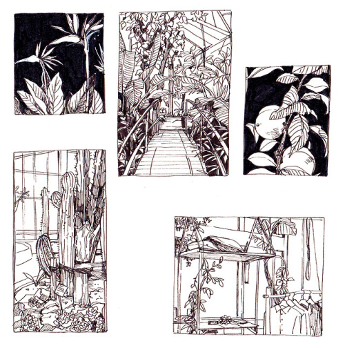 mochipanko: ink studies of my Amsterdam trip in July ´18