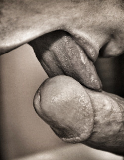 horny-dads:  lick it  horny-dads.tumblr.com  Exquisito!