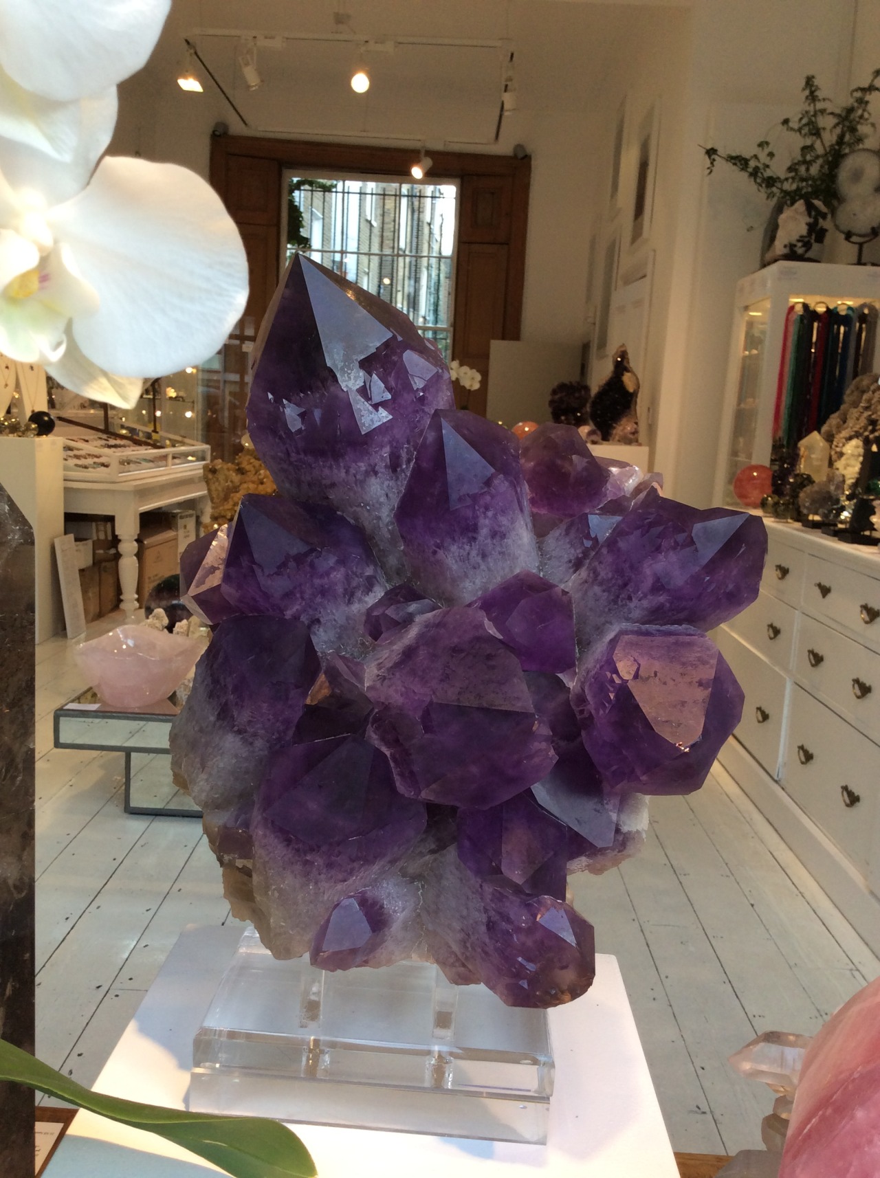 venusrox:An explosion of Bolivian Amethyst Points New into the showroom, a fine example