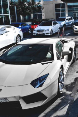 motivationsforlife:Aventador by Karim