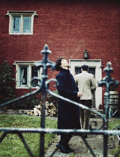 sherlottered-deactivated2014081:  Also, your loss would break my heart. What the