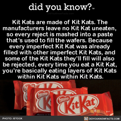 did-you-kno:  Kit Kats are made of Kit Kats. The  manufacturers leave no Kit Kat uneaten,  so every reject is mashed into a paste  that’s used to fill the wafers. Because  every imperfect Kit Kat was already  filled with other imperfect Kit Kats, and