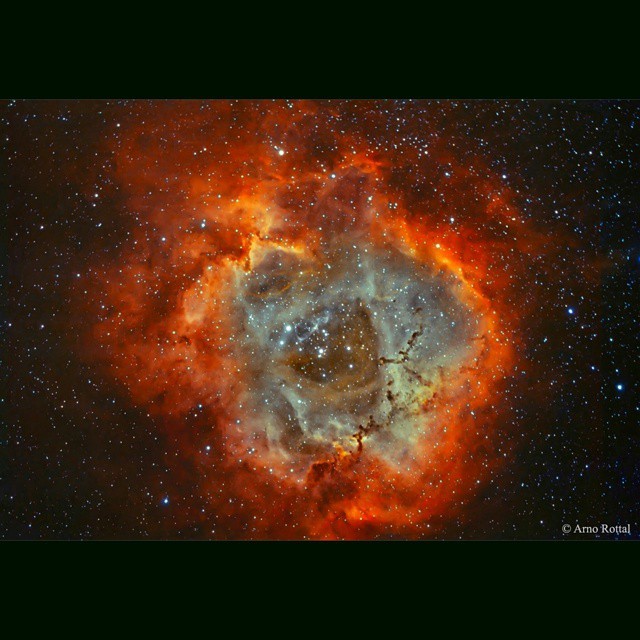 The Rosette Nebula in Hydrogen and Oxygen #nasa #apod #rosette #nebula #rose #hydrogen