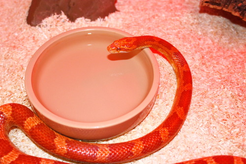 photo that wasnt good enough for my critter blog so posting it here, enjoooooy