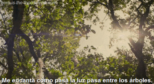 here-is-the-food:Safe Haven (2013)