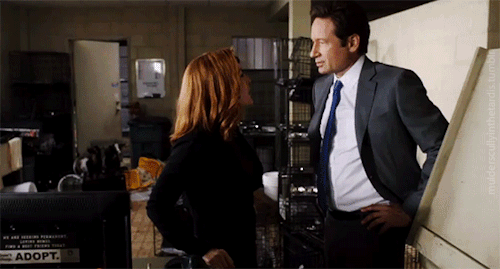 mulderscullyinthetardis: Reasons why I want more X Files- - David Duchovny &amp; Gillian Anderson, t