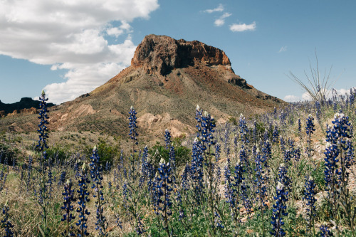 thegoodinatx: “I believe I speak for everyone when I say that Santa Elena Canyon was one of th