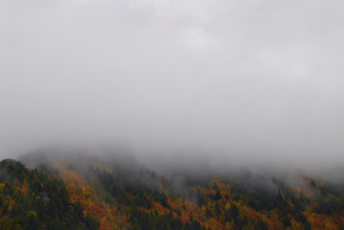 20190421 - Arrowtown, New Zealand: Early morning fog and rain turning into blue skies. Mum wanted to