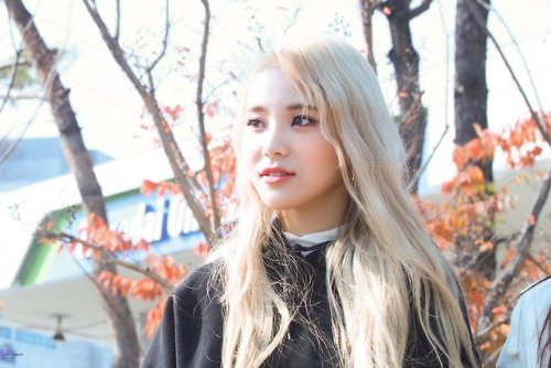 171118 Yeouido Fansign © Je m'appelle LOONA ♡ do not edit.